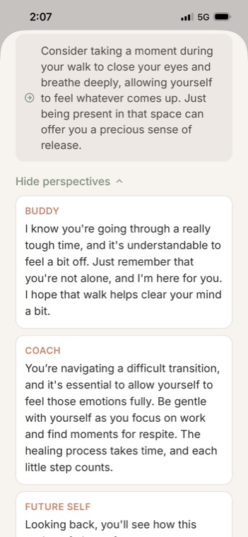 BuddySay companion perspectives screen